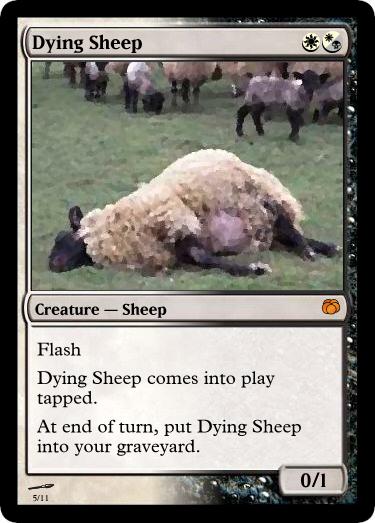 Dying Sheep